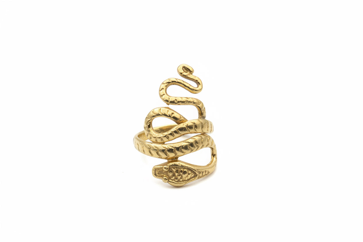 The Snake Ring Silver