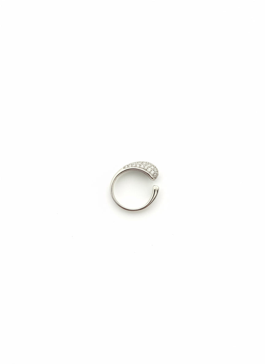 The Silver & Gold Snake Ring