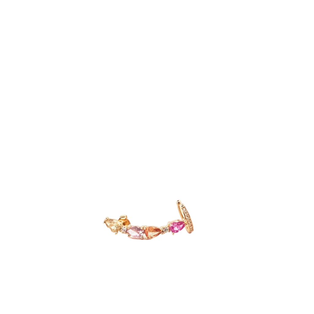 The Color Brust Earring